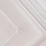 L'historique * ديجون